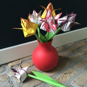 Vouwtulpen