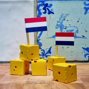 Kaasblokjes