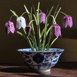 Kievitsbloemen
