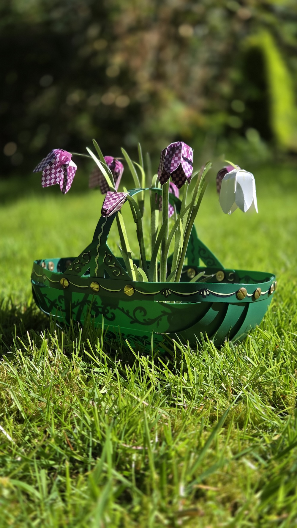 Kievitsbloemen - Afbeelding 3
