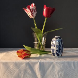 Tulips